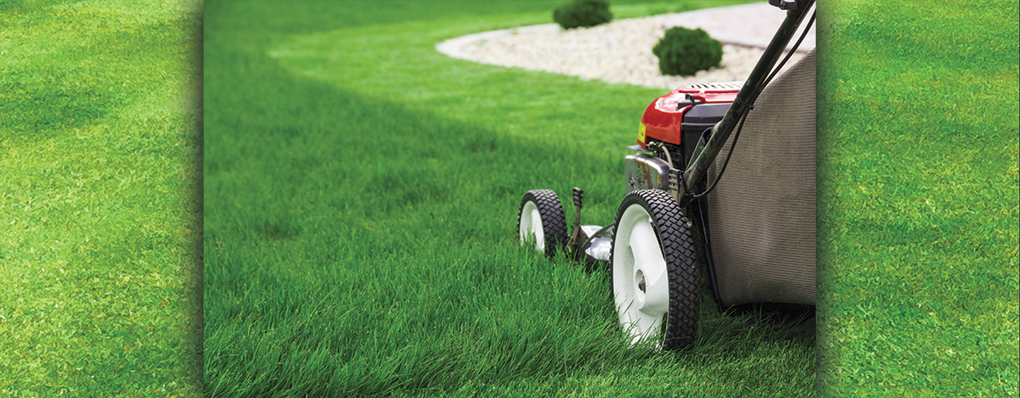 4 Tips For Easier Mowing And Keeping Lawns Lush