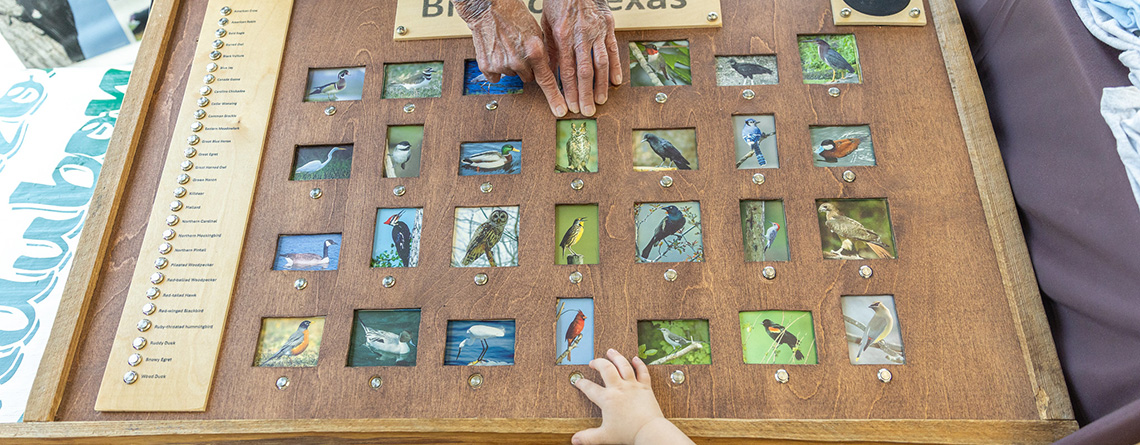 Attract Birds To Your Backyard: Free Program!